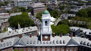Harvard impugna in tribunale stop Trump agli studenti stranieri