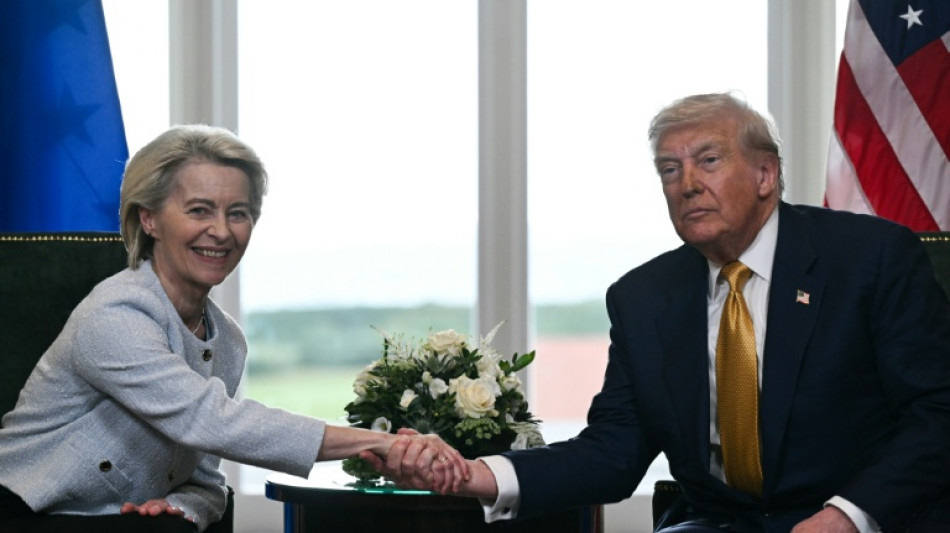 Droits de douane: les eurod&eacute;put&eacute;s pr&ecirc;ts &agrave; suspendre l'accord UE/USA, apr&egrave;s le revers de Trump