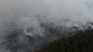 Face &agrave; un des pires incendies de son histoire, la Belgique compte sur du soutien a&eacute;rien