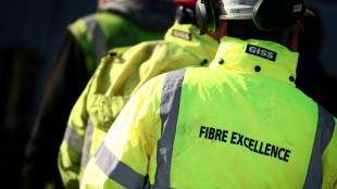 Fibre Excellence: Une offre de reprise d&eacute;pos&eacute;e in extremis par des dirigeants du groupe