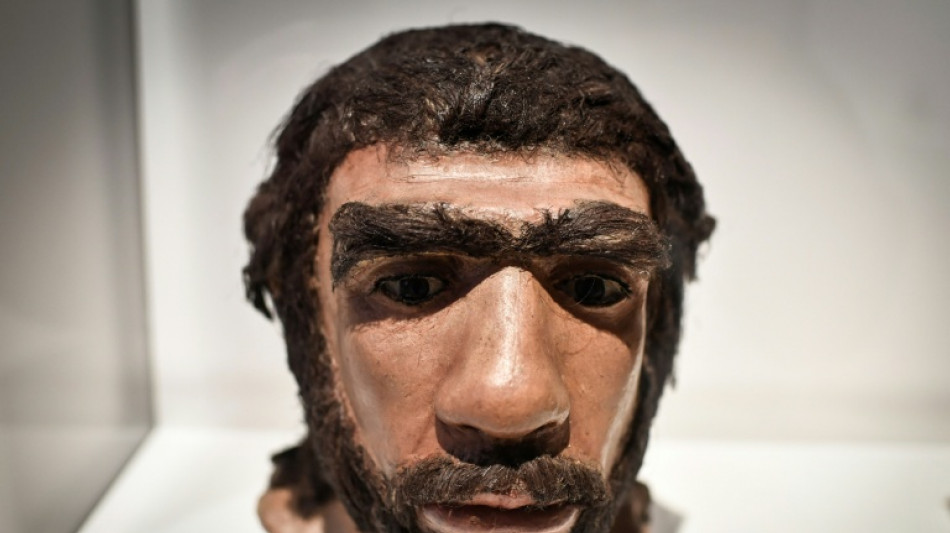 The sex lives of Neanderthal males - and human females