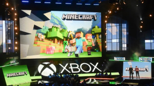 Minecraft, o jogo global que conecta estudantes, ativistas e empres&aacute;rios