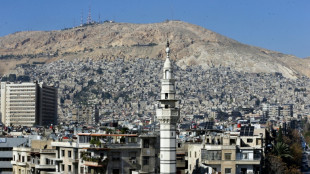 Al menos 14 combatientes prorr&eacute;gimen abatidos por el Estado Isl&aacute;mico en Siria