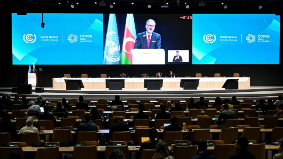 Espa&ntilde;a lamenta una falta de "ambici&oacute;n" en el borrador de acuerdo de la COP29