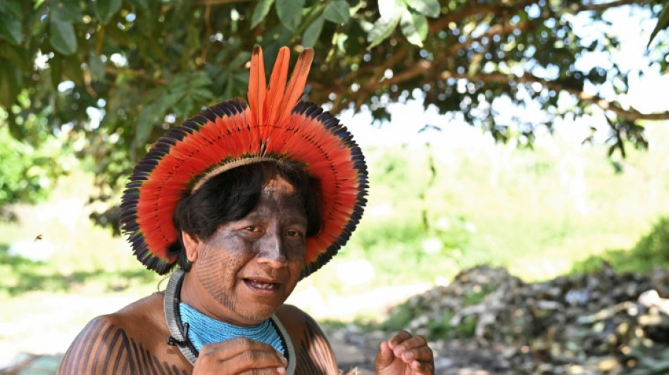 Br&eacute;sil: une nouvelle ru&eacute;e vers l'or menace les terres indig&egrave;nes