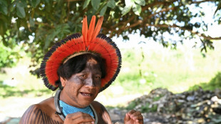 Br&eacute;sil: une nouvelle ru&eacute;e vers l'or menace les terres indig&egrave;nes