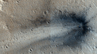 Marte recibe cada año el impacto de cientos de meteoritos