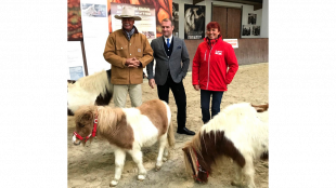 Ballermann - Mit Partys Tiere retten!